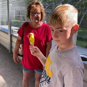 Meet your Posher, Phyllis